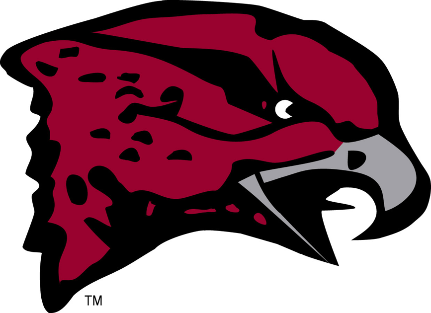 Maryland-Eastern Shore Hawks decals